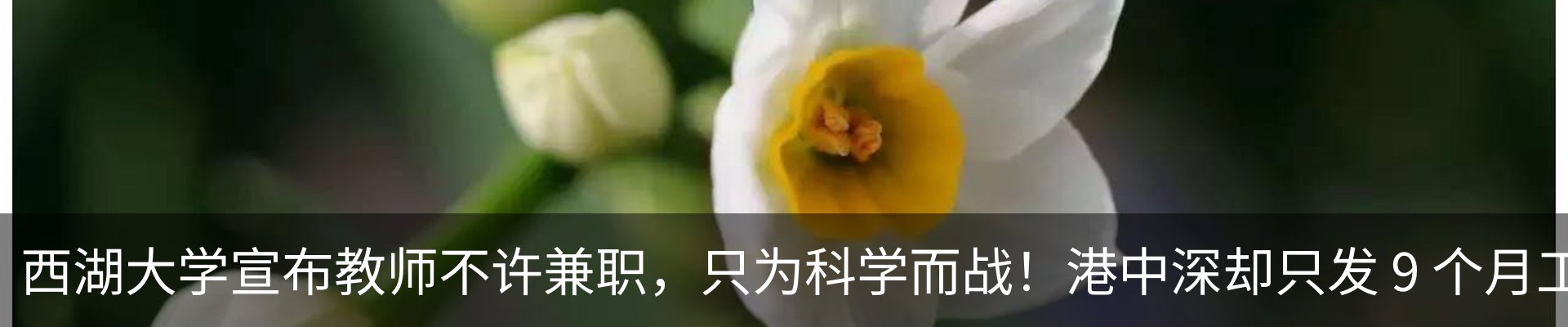 新闻动态