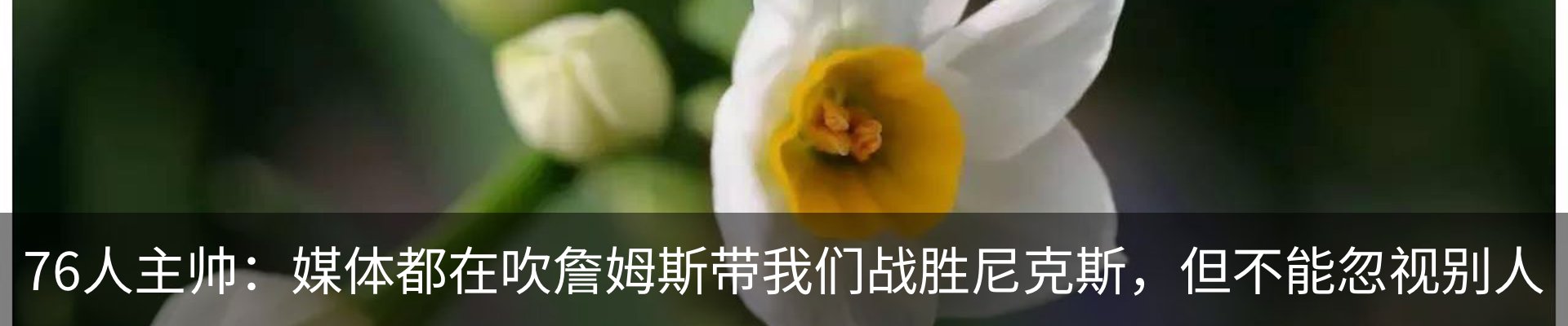 新闻动态